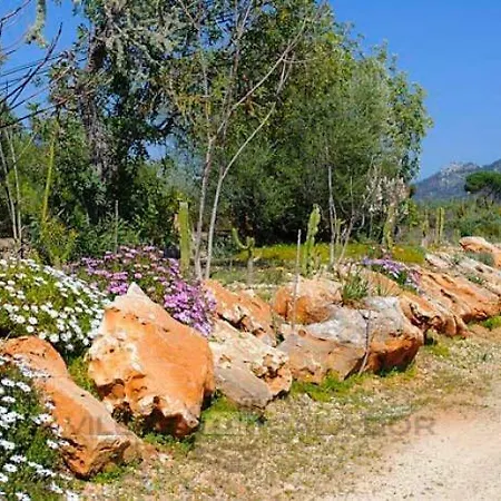 Finca Can Jordi Felanitx Exterior photo